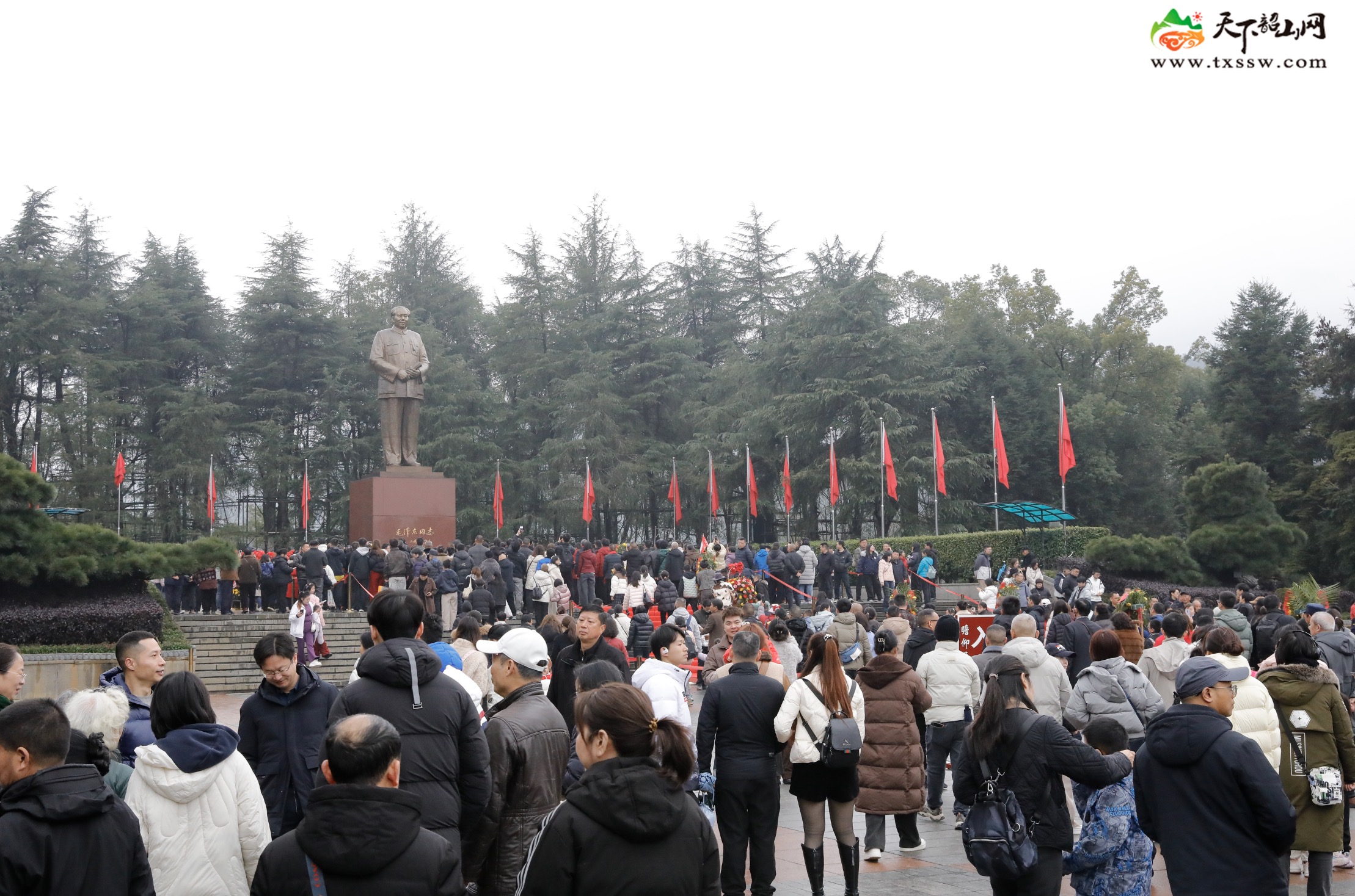 WechatIMG2157.jpeg WechatIMG2157.jpeg