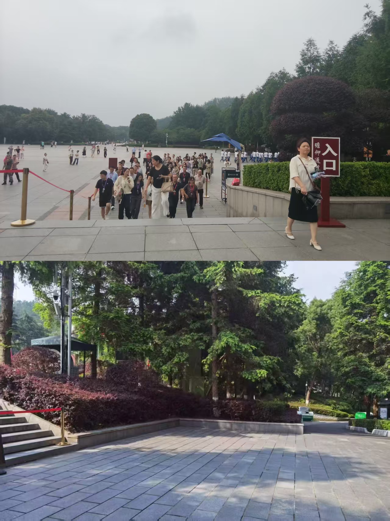 图片2.jpg