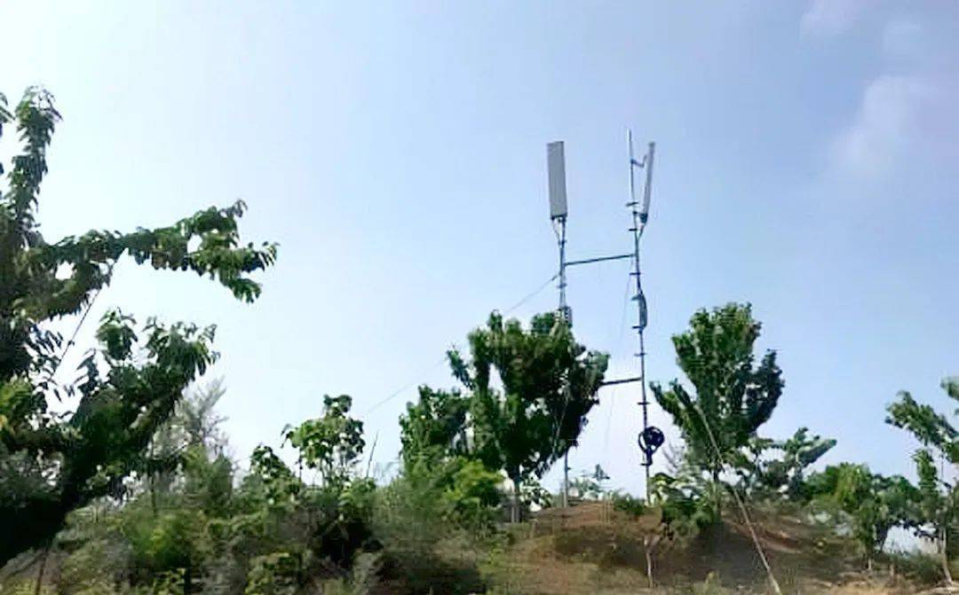 临武人大:硬刚民生建议图片2.jpeg 临武人大:硬刚民生建议图片2.jpeg