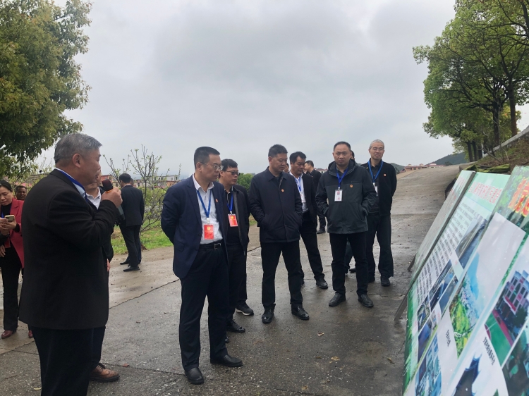 临武人大:四级人大代表视察让民生工程更贴民心图片1.jpg 临武人大:四级人大代表视察让民生工程更贴民心图片1.jpg