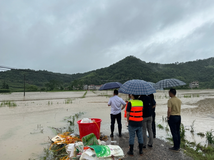 临武南强镇人大:打好防汛“主动仗”,筑牢防汛“安全堤”图片1.jpg 临武南强镇人大:打好防汛“主动仗”,筑牢防汛“安全堤”图片1.jpg