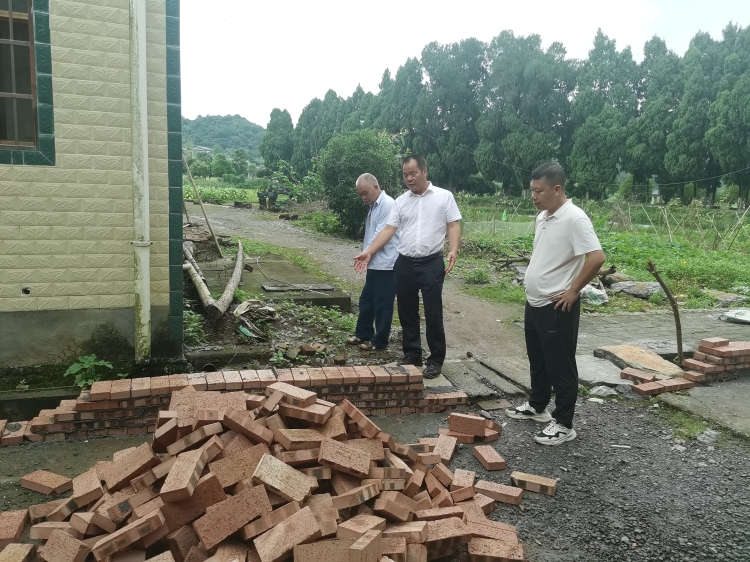 汾市镇人大:站好代表“监督岗” 筑牢建房“安全墙”图片1.jpg 汾市镇人大:站好代表“监督岗” 筑牢建房“安全墙”图片1.jpg