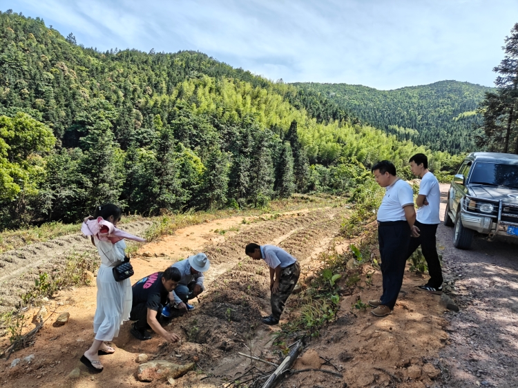 舜峰镇人大:代表履职显活力,集体经济添助力图片1.jpg 舜峰镇人大:代表履职显活力,集体经济添助力图片1.jpg