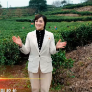 四中全会·湘声悟 | 一片叶子富一方百姓