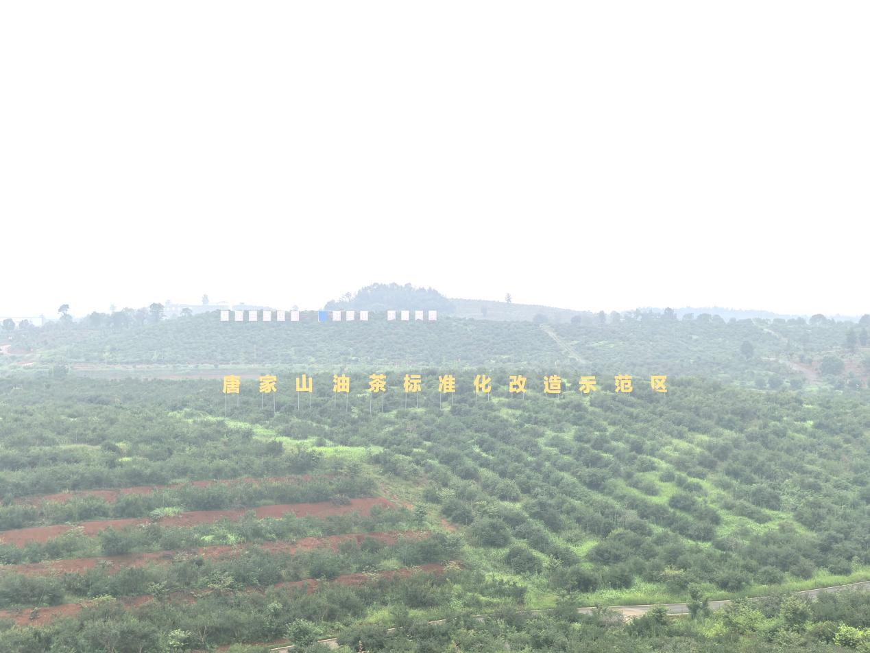 图片1.png 图片1.png