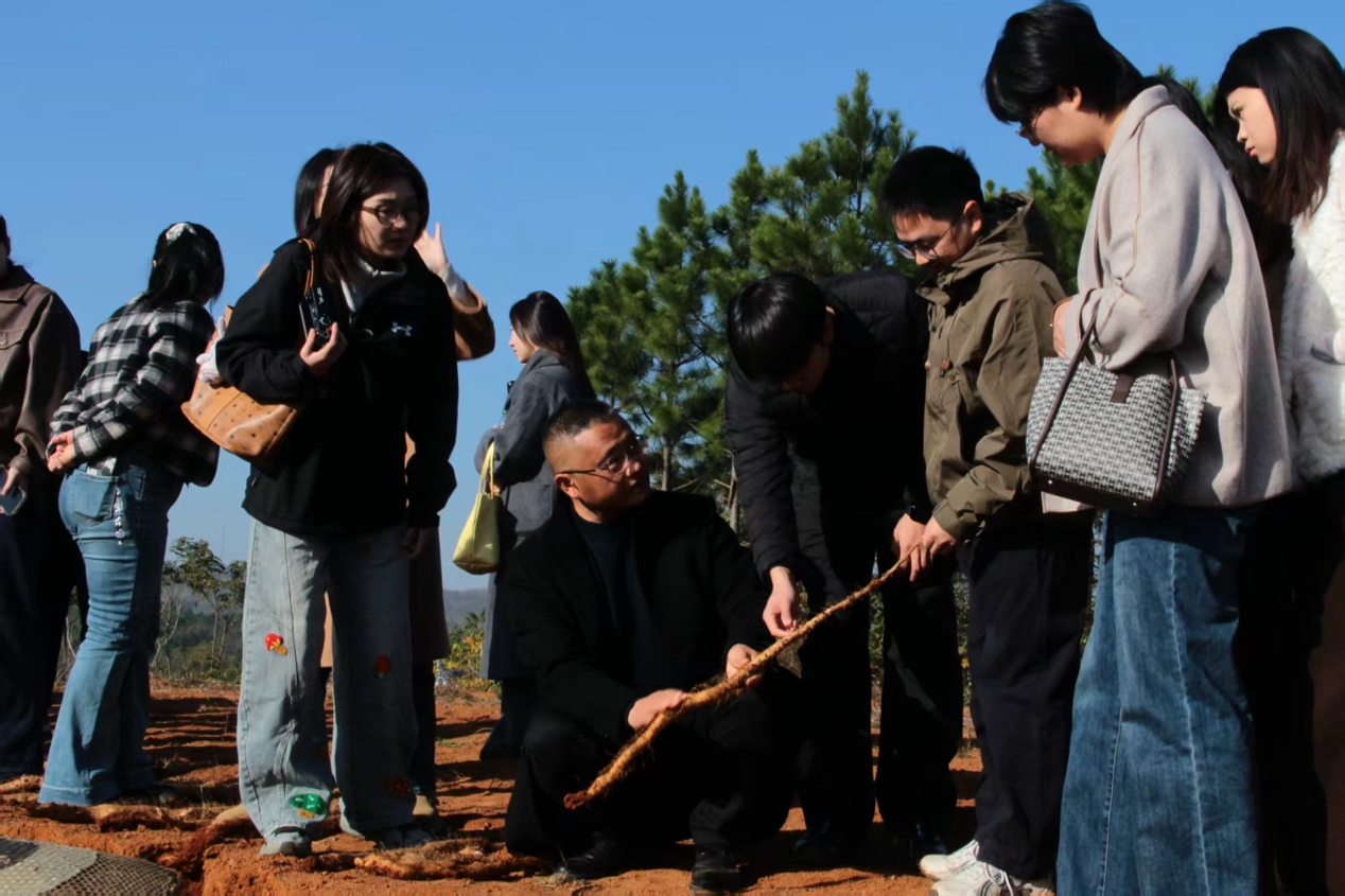 图片2.png 图片2.png