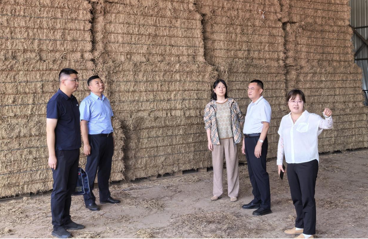 南县宏达秸秆综合利用加工厂现场..jpg