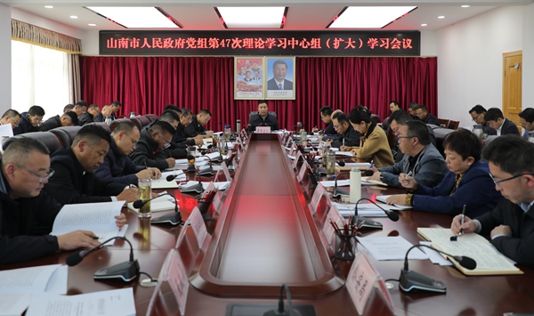 2025523市政府党组召开理论学习中心组（扩大）学习会议.JPG
