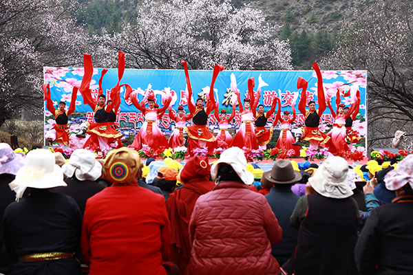 拉康镇桃花节.jpg
