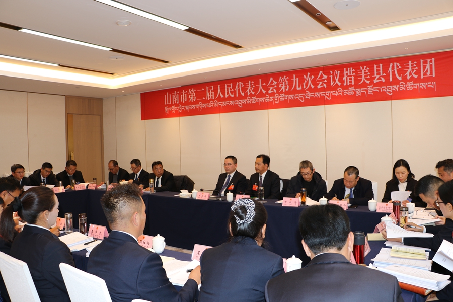 措美县讨论现场.jpg