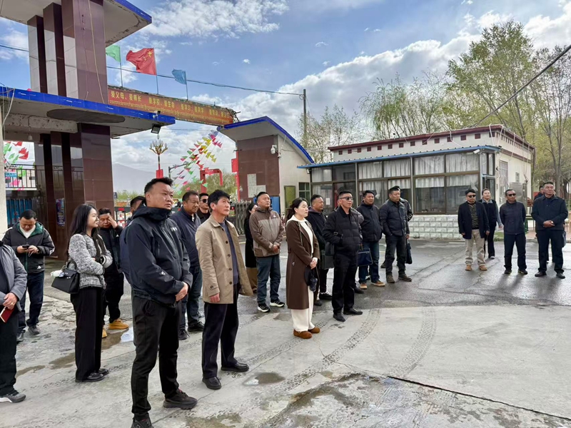 乃东.jpg 乃东.jpg