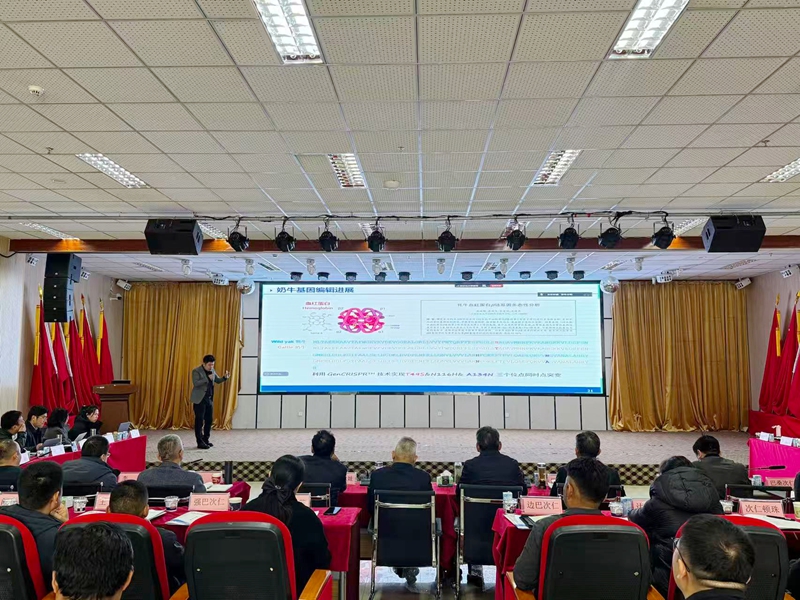 图为现场.jpg 图为现场.jpg