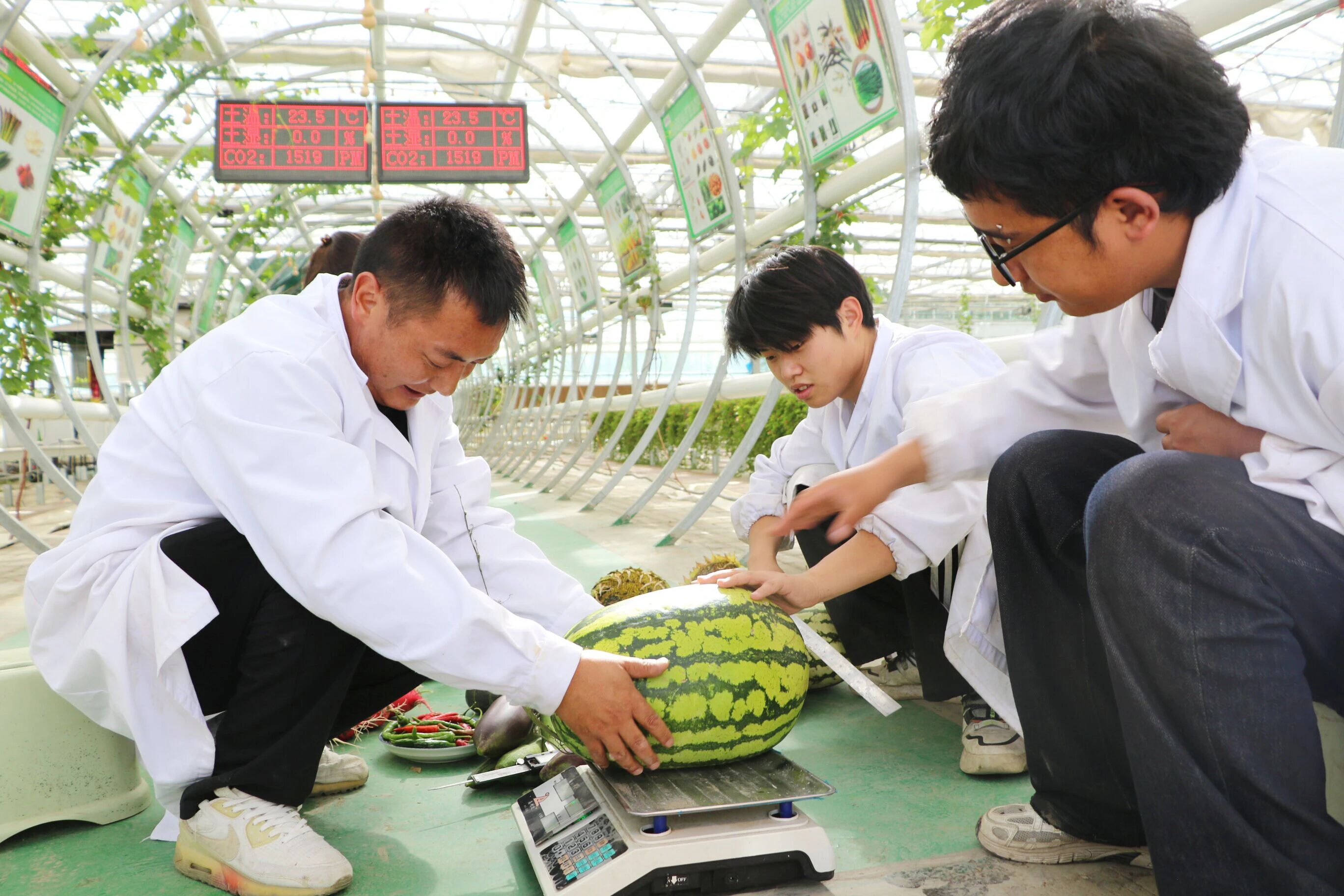 微信图片_2026-09-11_161909_824.jpg 微信图片_2026-09-11_161909_824.jpg