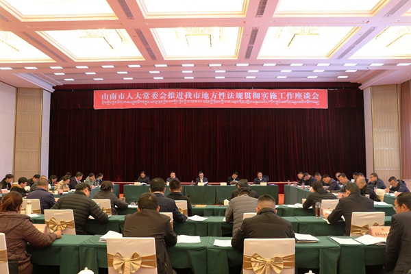 图为市人大常委会召开推进我市地方性法规贯彻实施工作座谈会_副本.jpg
