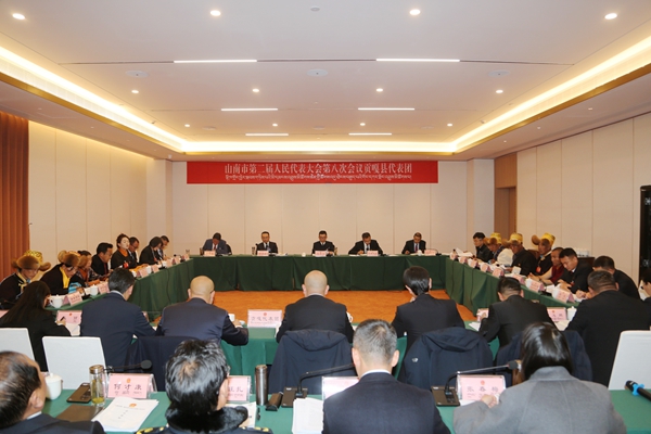图为王德文贡嘎县分组审议_副本.jpg