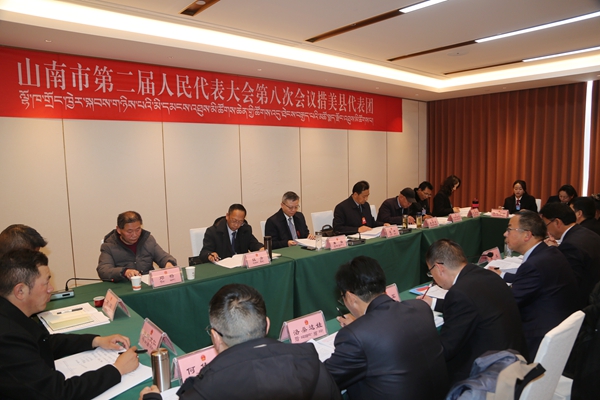 图为单强措美县代表团审议现场_副本.jpg