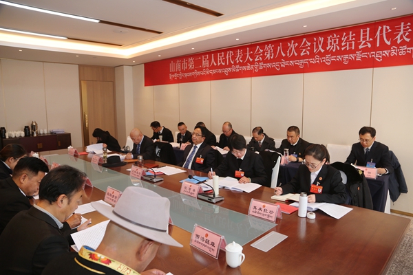 图为尼玛旦增审议现场_副本.jpg
