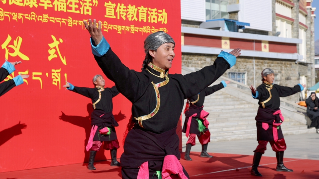 乃东区启动“培树文明向上新风 崇尚健康幸福生活”宣传教育活动 .jpg