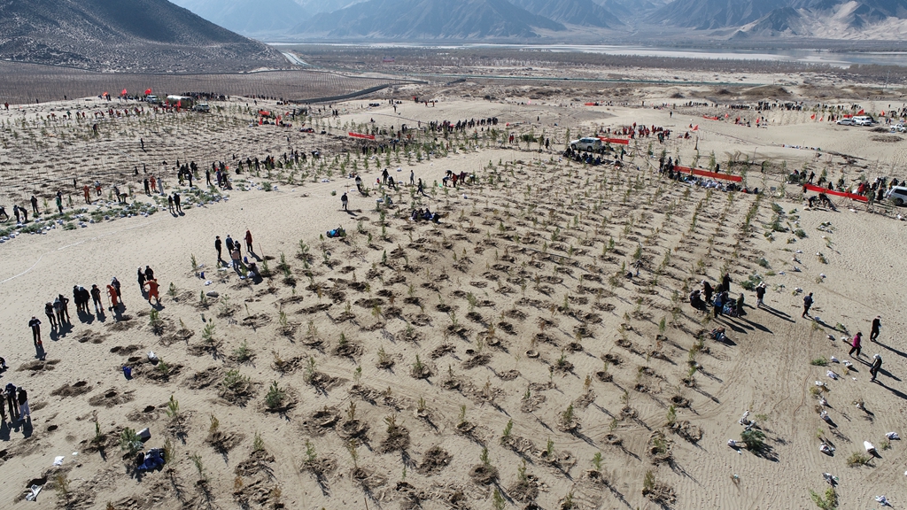 图为植树造林活动.jpg