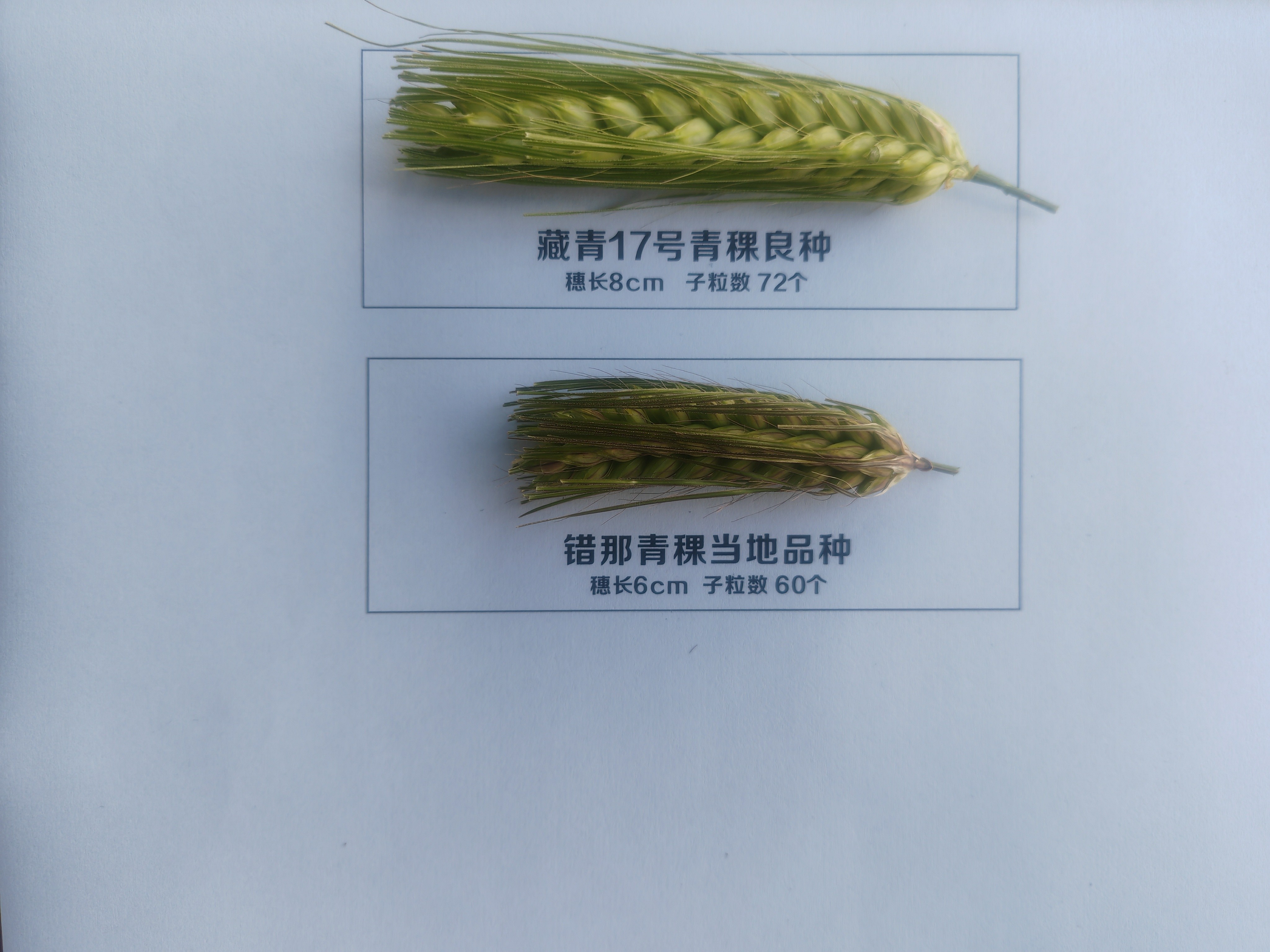 微信图片_20260807172655_252_31.jpg 微信图片_20260807172655_252_31.jpg