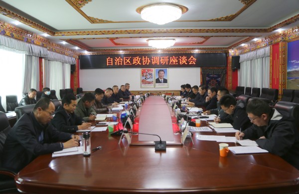 自治区政协调研组与我市座谈_副本.jpg