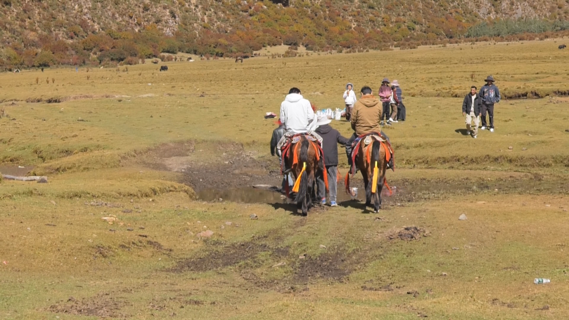 微信图片_20251013173306_37_65.jpg 微信图片_20251013173306_37_65.jpg