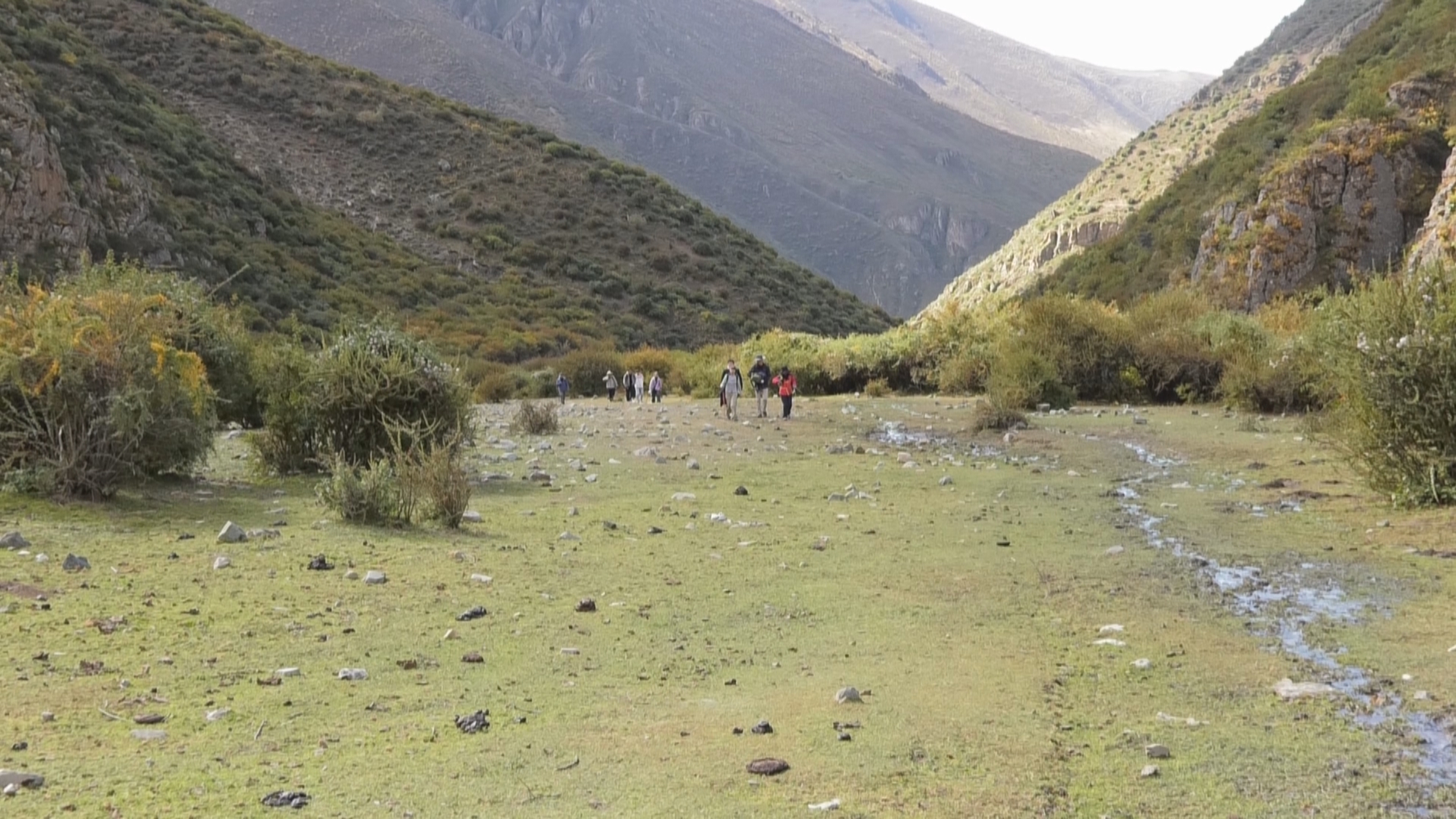 微信图片_20251013173309_40_65.jpg 微信图片_20251013173309_40_65.jpg