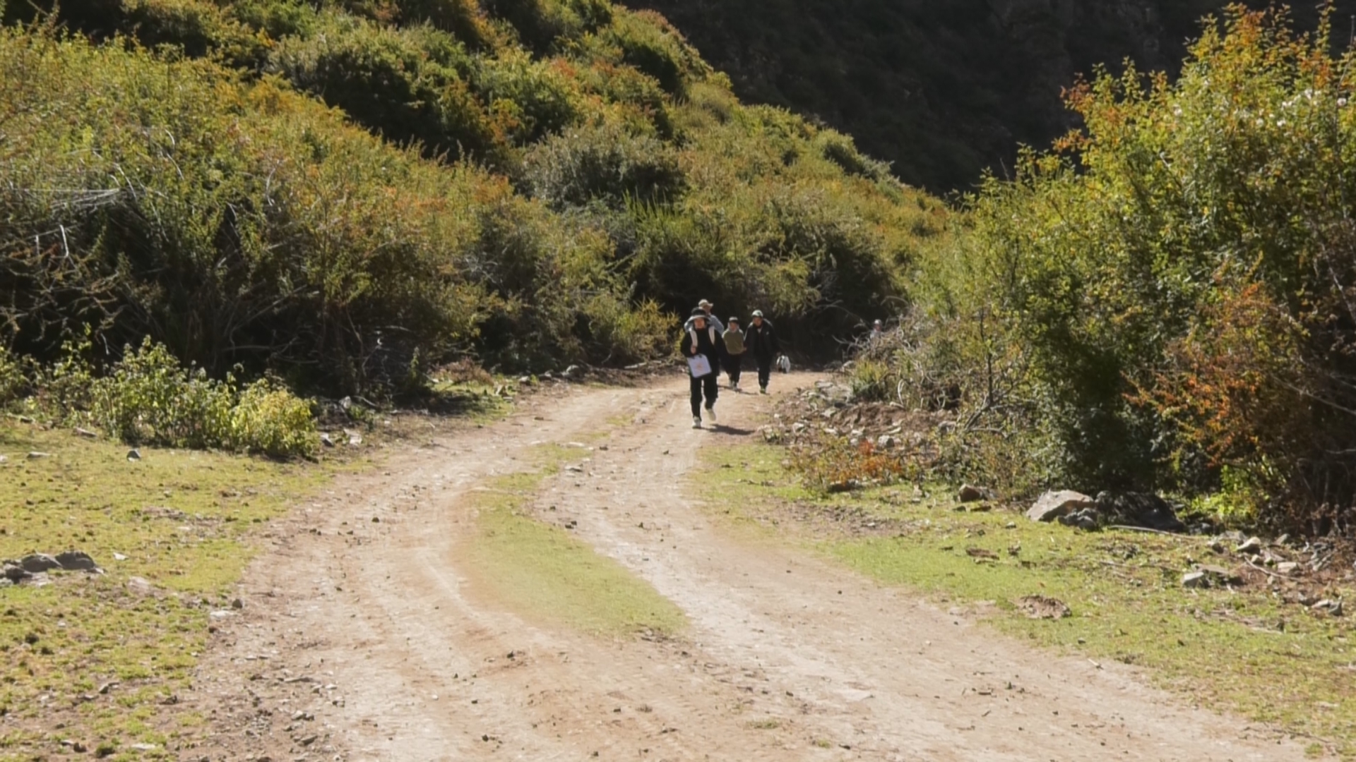 微信图片_20251013173308_39_65.jpg 微信图片_20251013173308_39_65.jpg