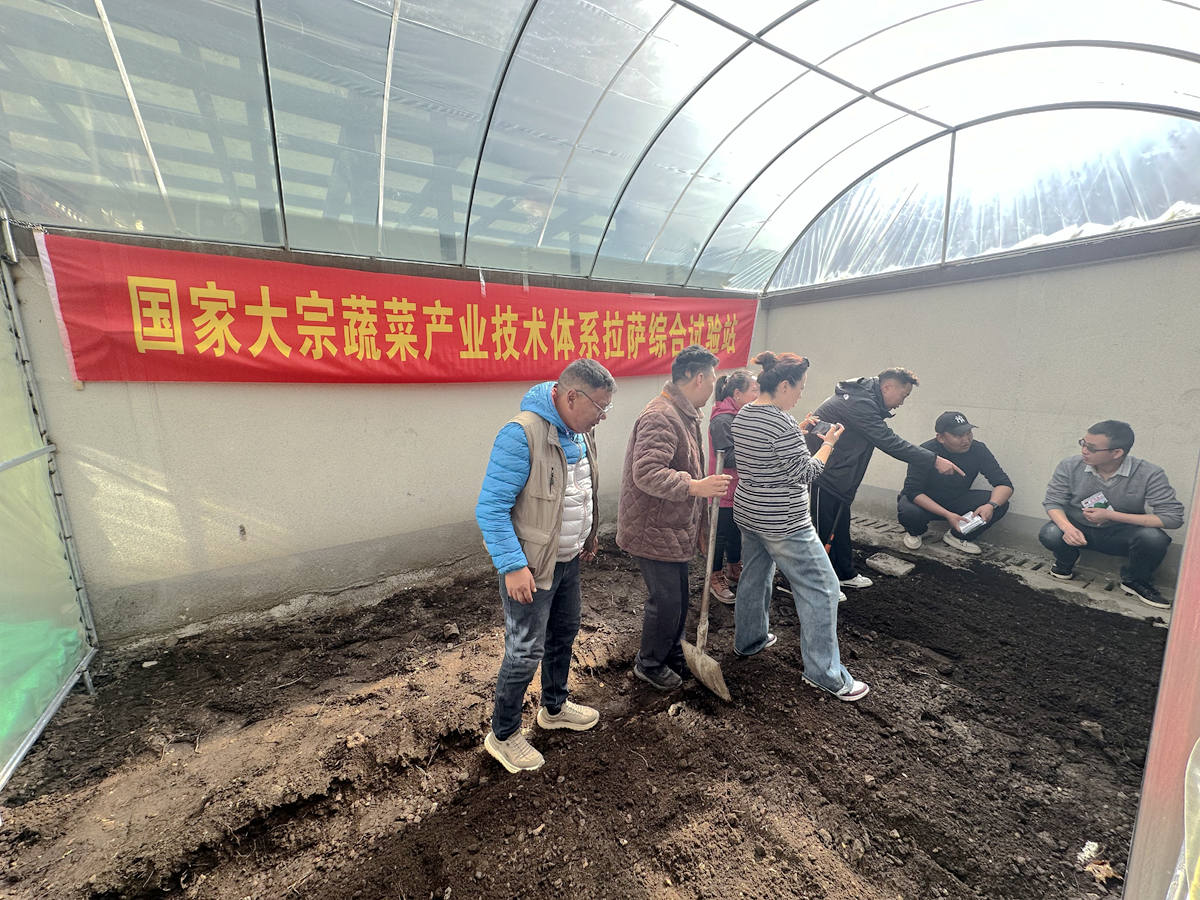 松布曲1.png 松布曲1.png