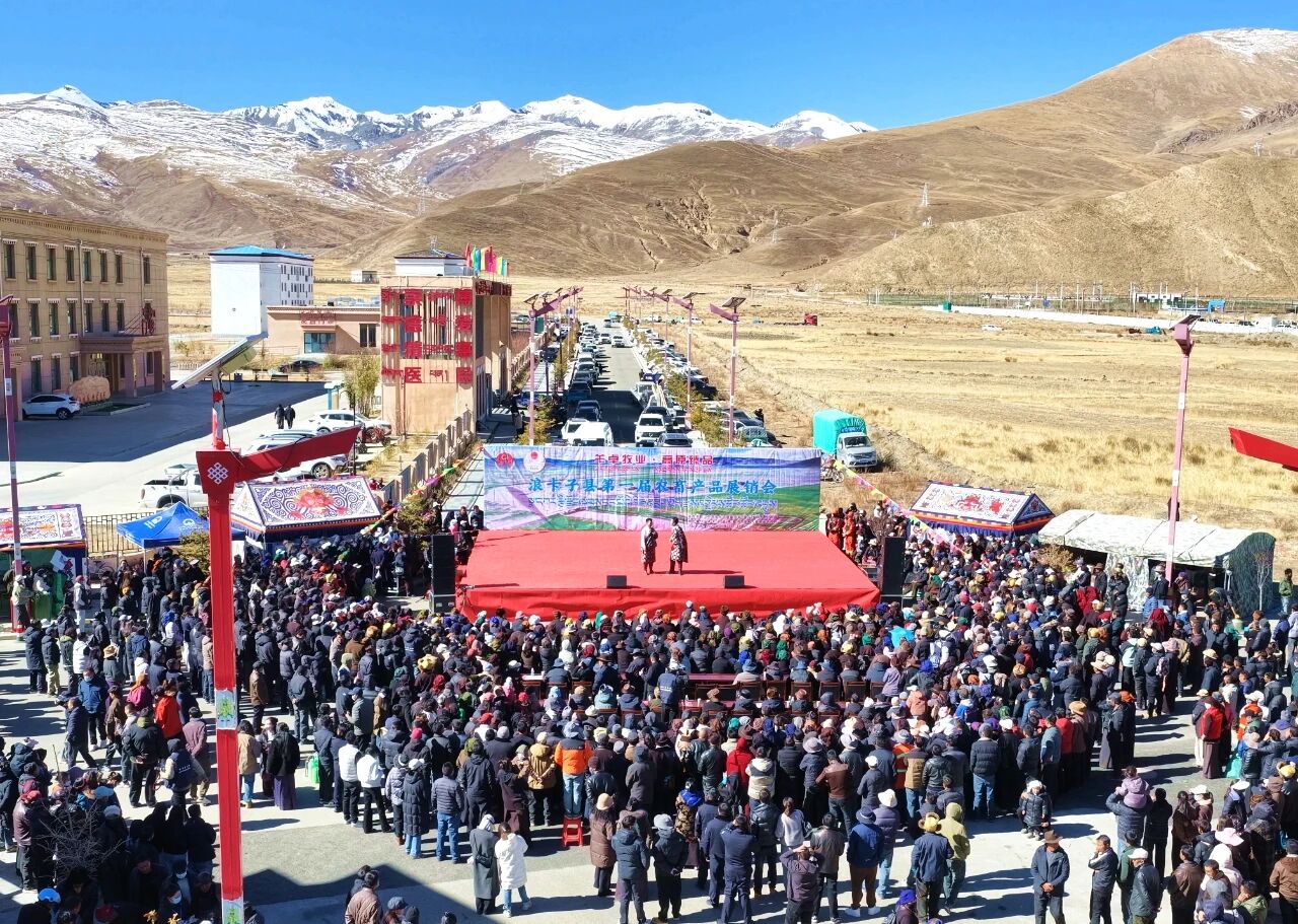 图片1.jpg 图片1.jpg