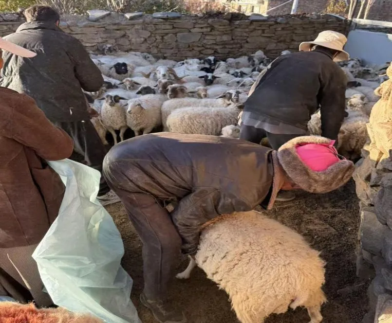 图片1.png 图片1.png