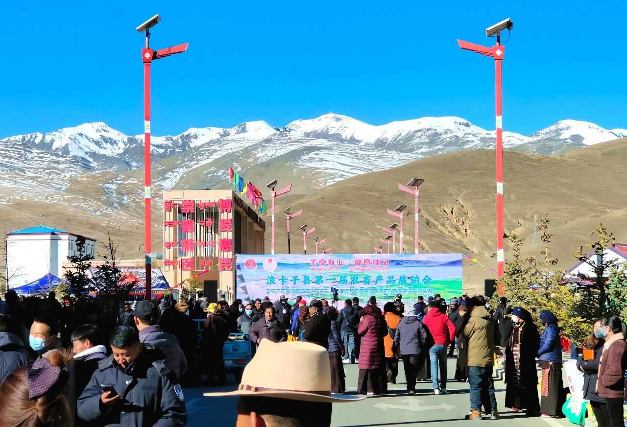 图片2.jpg 图片2.jpg