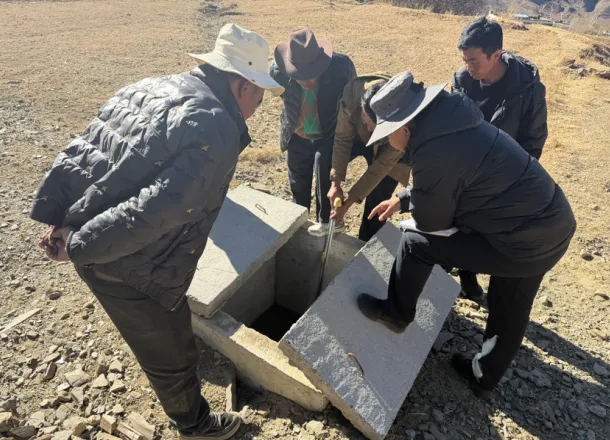 图片1.png 图片1.png