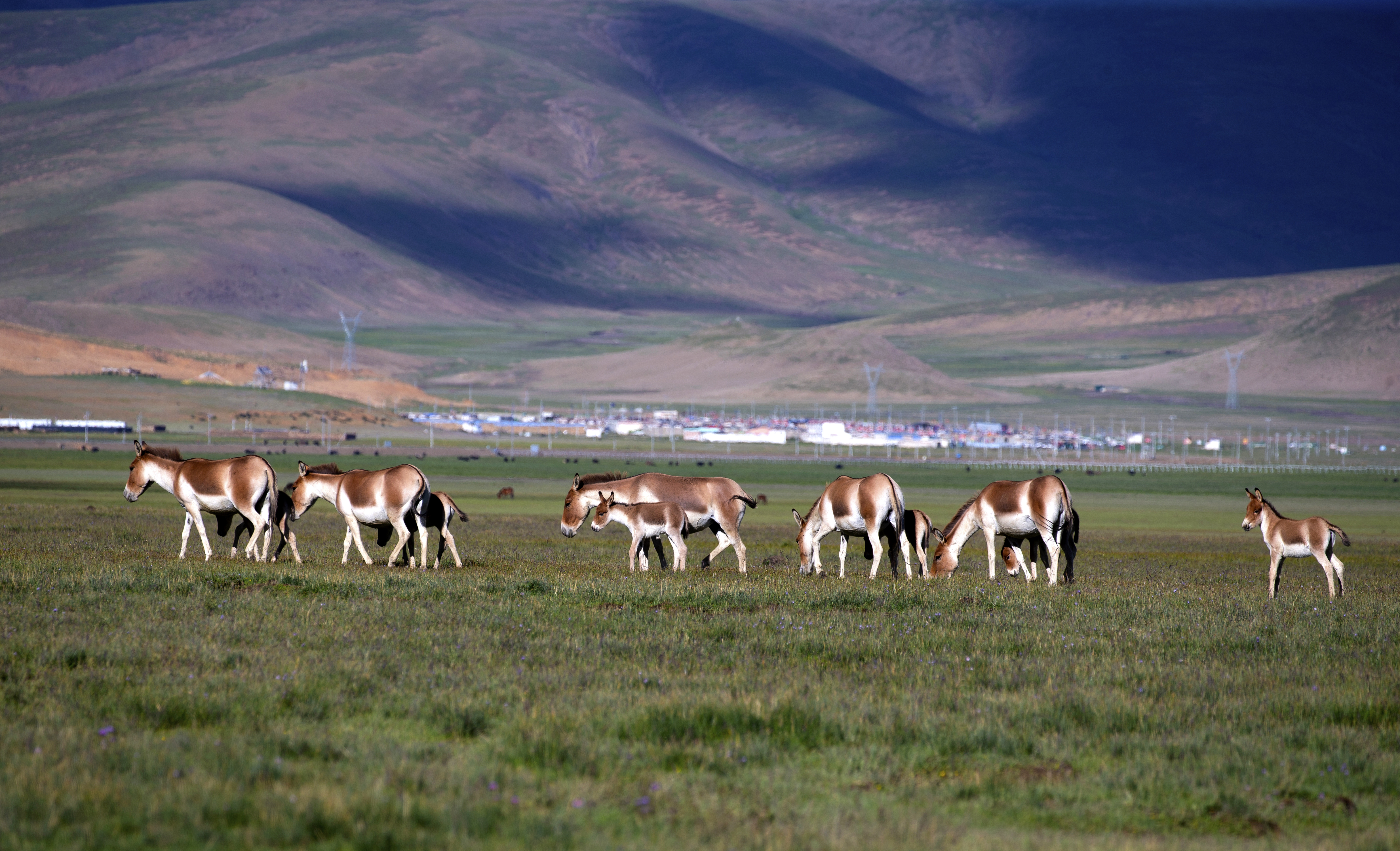 IMGL02470.jpg