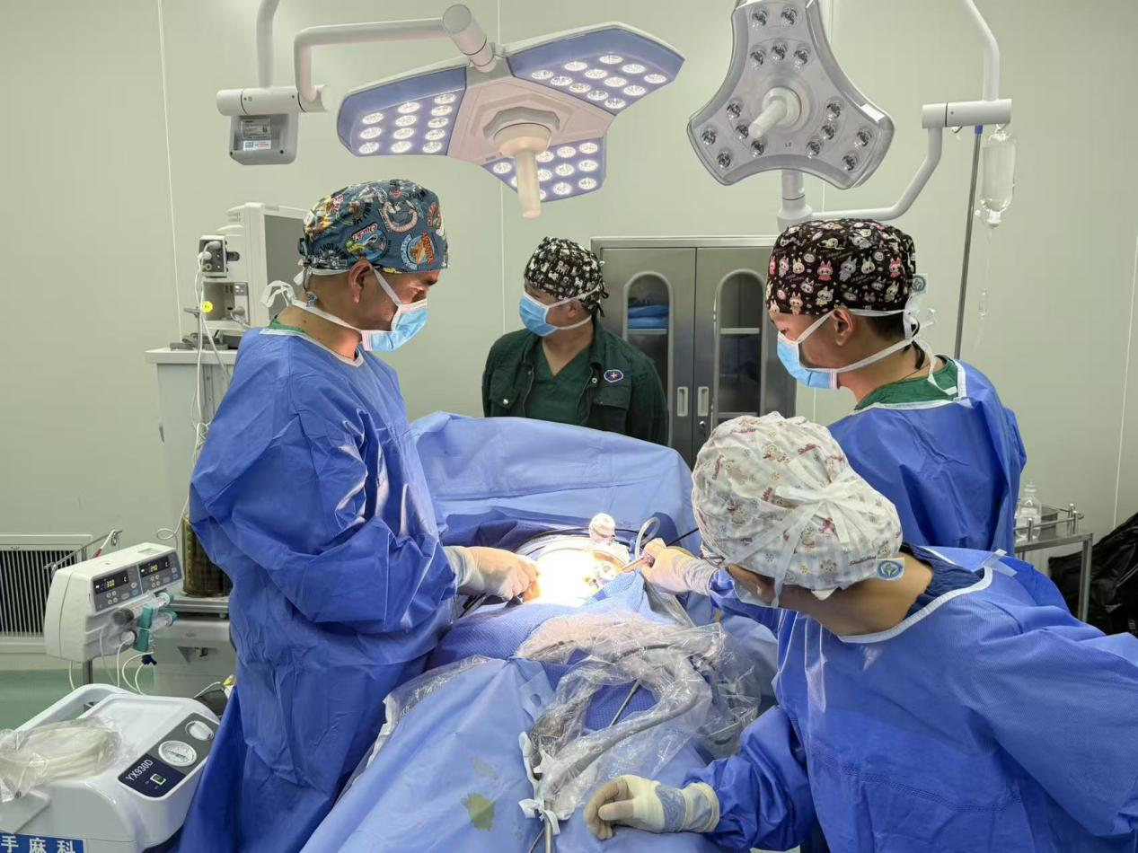 措美县成功完成腹腔镜下阑尾切除术.png