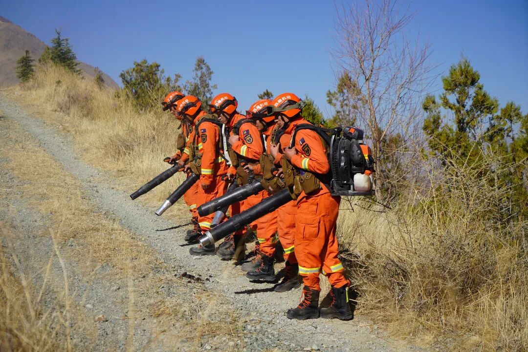 山南机动大队：筑牢全国两会期间森林防火安全屏障.jpeg