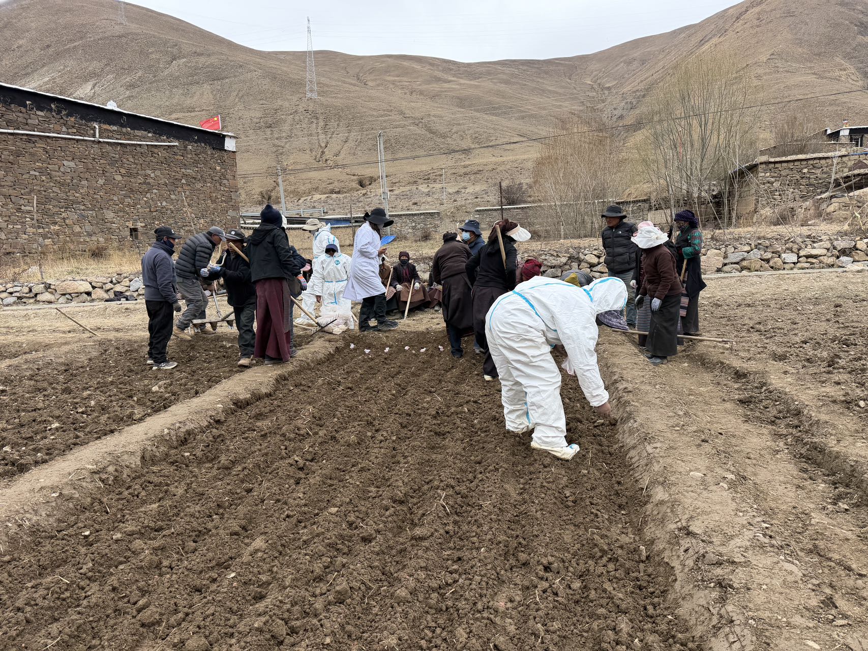 深耕藏粮于地战略 启动高海拔耕地修复试验播种.jpg