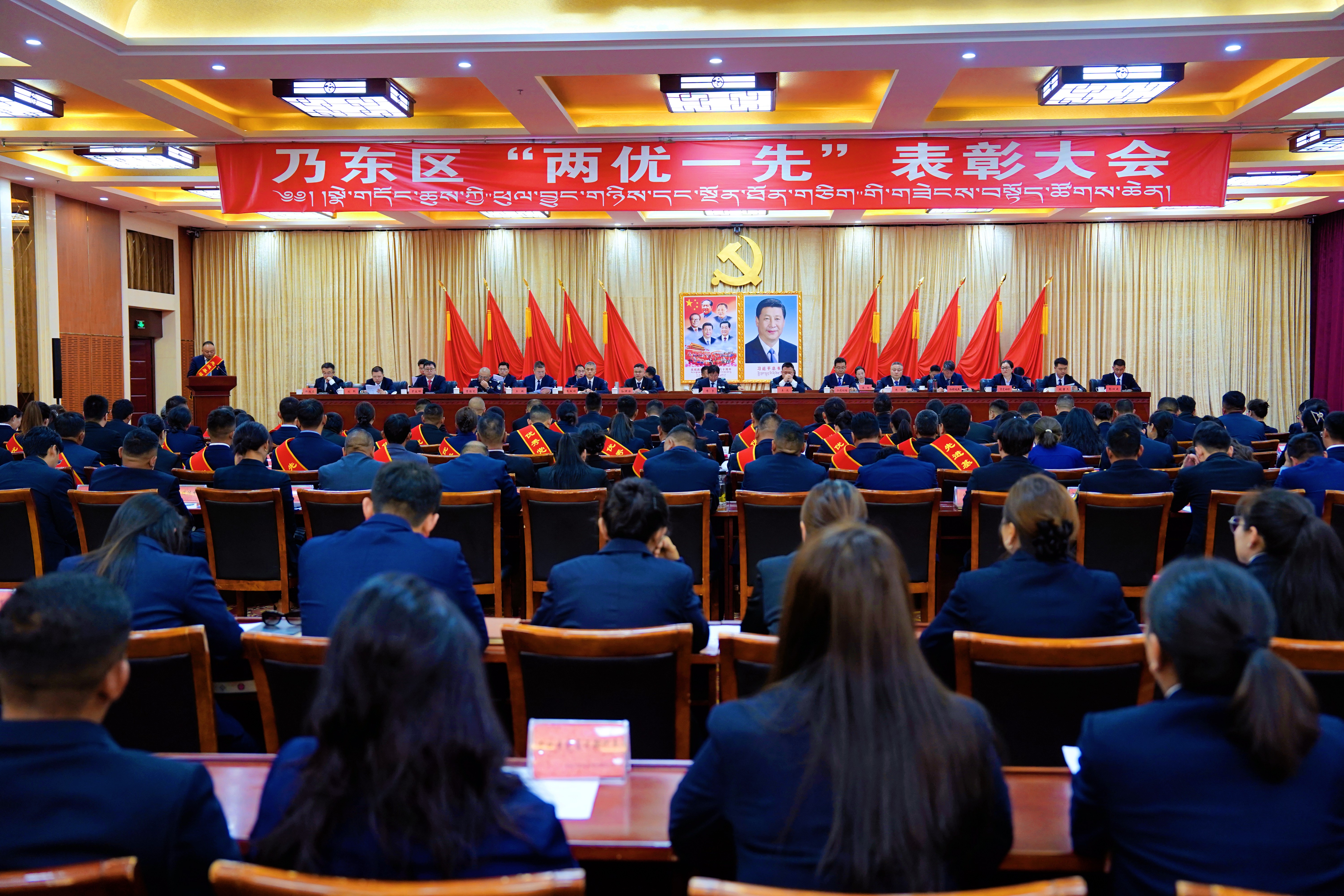 乃东区“两优一先”表彰大会召开.jpg