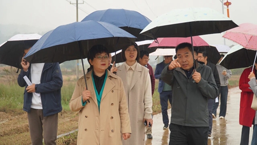 微信图片_2025-11-18_155959_661_副本.jpg 微信图片_2025-11-18_155959_661_副本.jpg