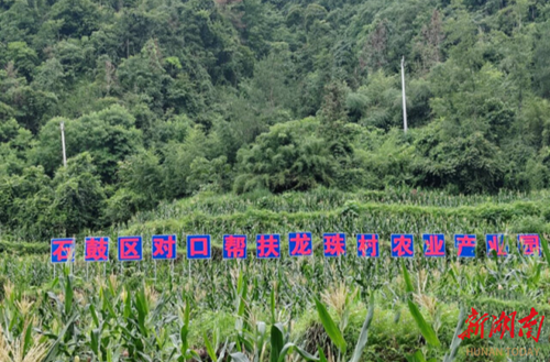 微信图片_2026-10-16_113012_352_副本.png 微信图片_2026-10-16_113012_352_副本.png