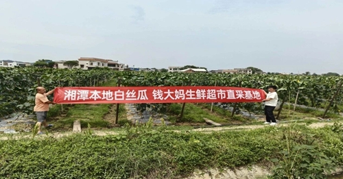 微信图片_2026-05-03_194648_627_副本.jpg
