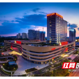 复盘爆红的草莓医院，究竟是“实力派”还是“偶像派”？