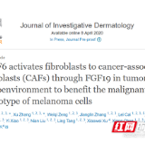 湘雅医院皮肤科团队连续取得皮肤黑素瘤发病机制研究新进展