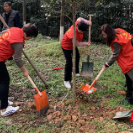 植树节 | 湖南省结防所与社区共植“友谊树”