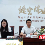 湖南省妇幼保健院举行剖宫产手术菁英研讨会