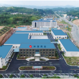 多项并举，助力洪江市中药材产业发展