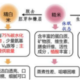 85名“糖友”测试发芽糙米降血糖