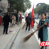 张家界桑植县卫健局积极开展“学雷锋志愿服务月”活动