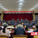 湖南省卫生健康委召开2020年党的工作暨党风廉政建设和反腐败工作会议