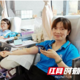 张家界：热血传递爱心，绿航果业连续三年组织无偿献血